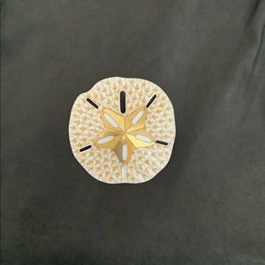 Herend porcelain collectible Sand Dollar in Butterscotch